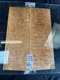 #1687 quilted maple Instrument set