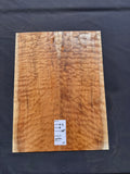 #1460 (B) quilted maple Instrument set