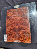 #1669 redwood burl Instrument set