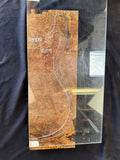 #1502 Spalted maple burl Instrument billet
