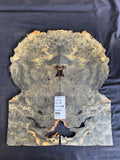 #1474 Buckeye burl Instrument set