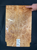 #1853 quilted maple Instrument set