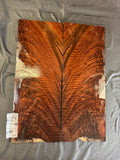 #1537 feathered claro walnut Instrument set