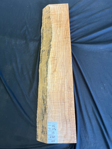 1367 Curly Maple Craft
