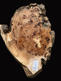 #1384 Maple Burl