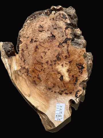 #1384 Maple Burl