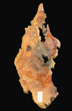 #1385 Original Growth Redwood