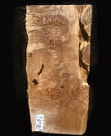 #1386 Craft Maple Burl