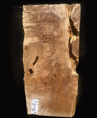 #1386 Craft Maple Burl