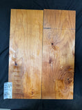 #1994 Alder solid body set