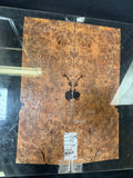 #1819 maple burl Instrument set