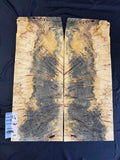 #1545 Buckeye burl Instrument set