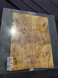 #1778 figured Myrtle-wood Instrument set