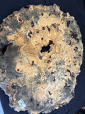 50” Buckeye Burl round