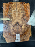 #1905 maple burl Instrument set