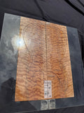 #1731 quilted maple Instrument set