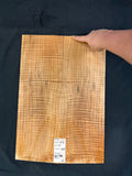 #1786 curly maple Instrument set
