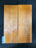 #1992 Alder solid body set