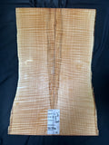 #1866 curly maple Instrument set