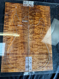 #1698 quilted maple Instrument set
