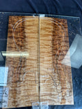 #1693 quilted maple Instrument set