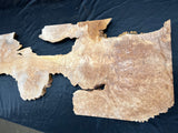 #1179 Curly Maple Burl plaque