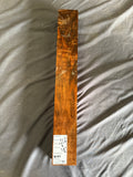 #1631 walnut neck blank