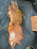 #1946 Redwood Burl slab