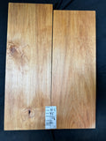 #1995 Alder solid body set