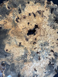 50” Buckeye Burl round