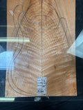 #1864 curly maple Instrument set