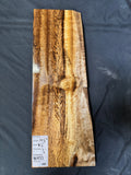 #1922 Myrtle wood Instrument billet