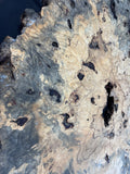 50” Buckeye Burl round