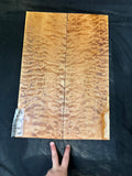 #1940 quilted maple Instrument set