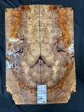 #1905 maple burl Instrument set