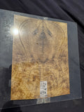 #1778 figured Myrtle-wood Instrument set