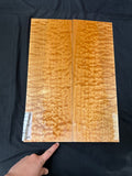 #1841 quilted maple Instrument set