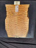 #1457 (A) quilted maple Instrument set