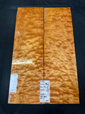 #1843 quilted maple Instrument set