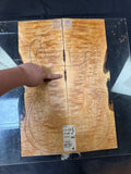 #1751 quilted maple Instrument set