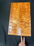 #1844 quilted maple Instrument set