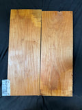 #1993 Alder solid body set