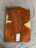 #1573 feathered claro walnut Instrument set