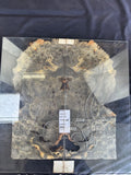 #1474 Buckeye burl Instrument set