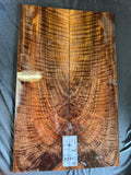#1583 feathered Bastogne walnut instrument set