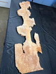 #1179 Curly Maple Burl plaque