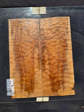 #1459 (B) quilted maple Instrument set
