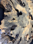 55” Buckeye Burl round