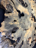 55” Buckeye Burl round