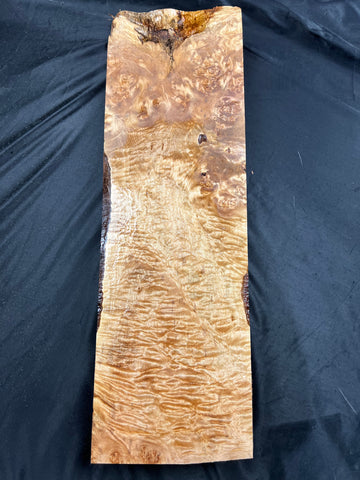 #1009 Curly Maple Burl Instrument Billet